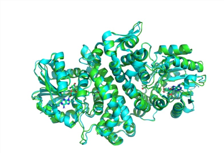 MIT Launches Open-Source AI Model Boltz-1 for Biomolecular Predictions